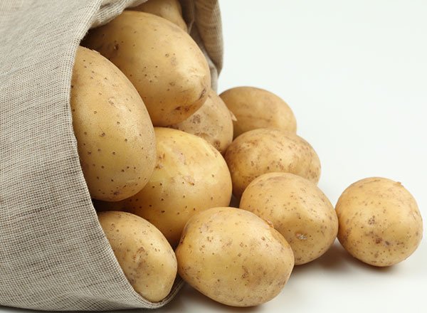 potato